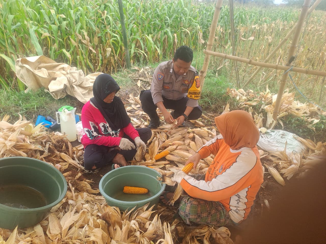 WhatsApp Image 2025-10-27 at 09.52.27