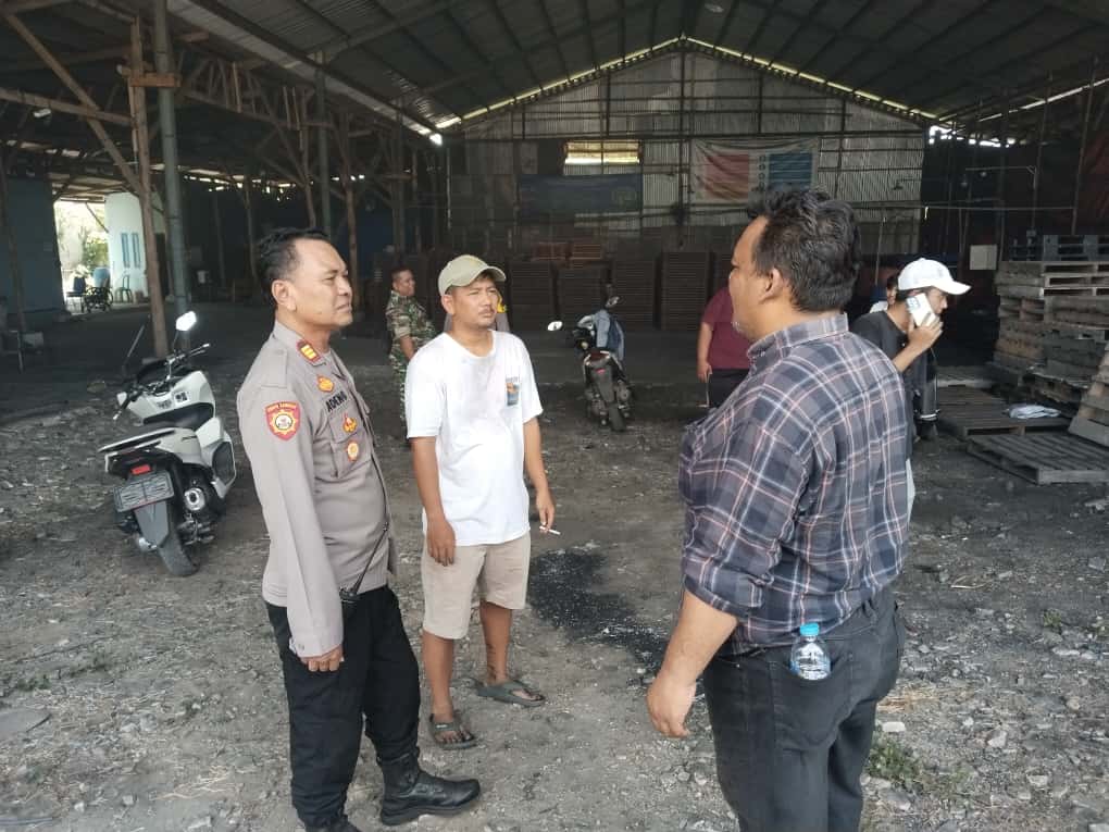 WhatsApp Image 2025-10-28 at 10.49.18