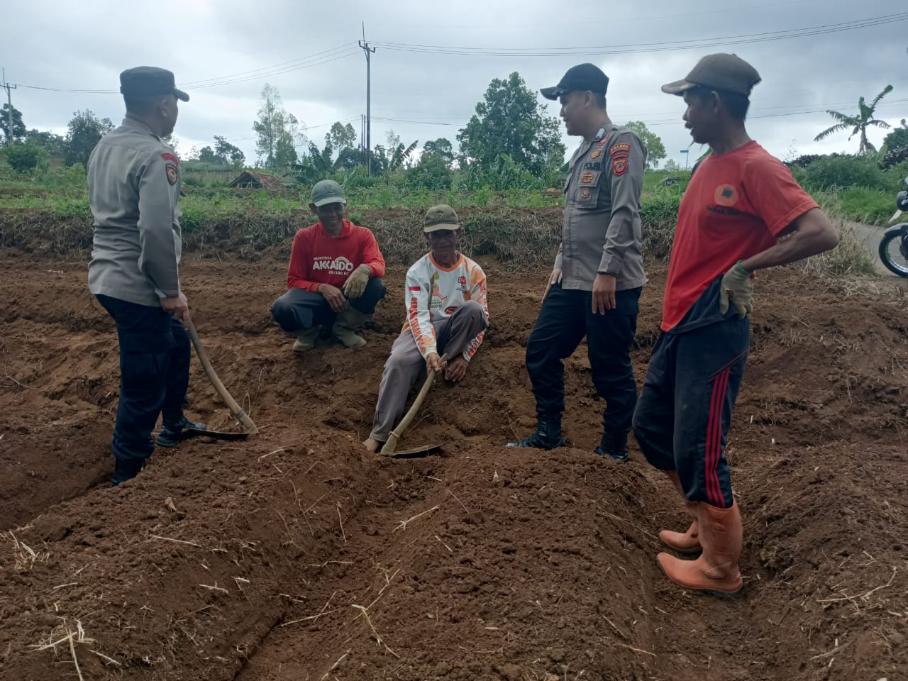 WhatsApp Image 2025-10-31 at 07.33.50