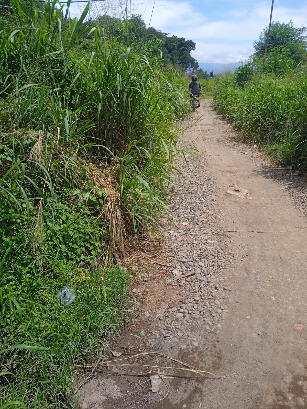 WhatsApp Image 2025-11-28 at 14.25.53